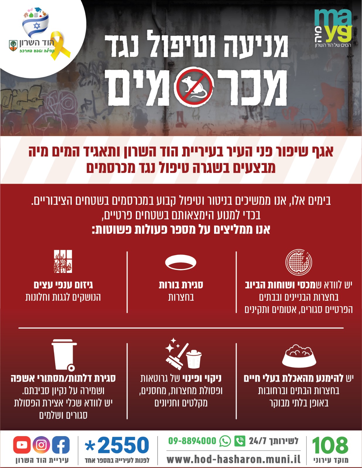 מכרסמים