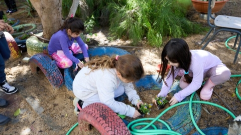שתילות בגני ילדים (4).jpg