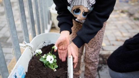 שתילות בגני ילדים (9).jpg
