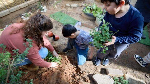 שתילות בגני ילדים (18).jpg