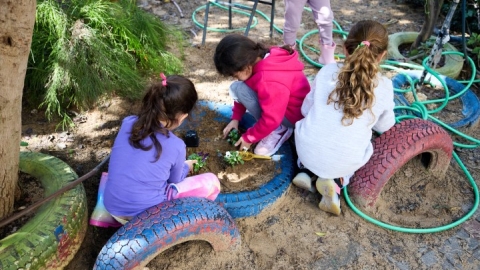 שתילות בגני ילדים (3).jpg