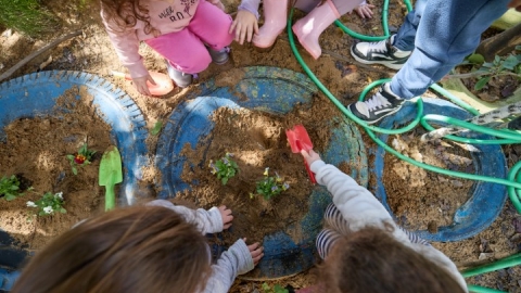 שתילות בגני ילדים (6).jpg