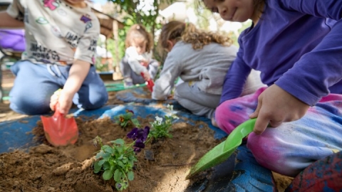 שתילות בגני ילדים (7).jpg