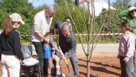 נטיעות ברחוב הגלעד (13).jpeg