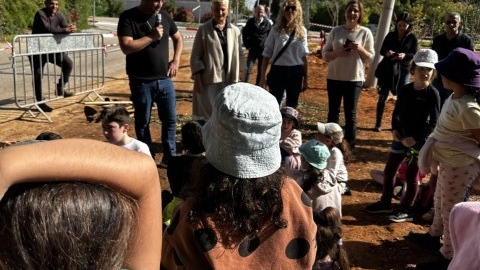 נטיעות ברחוב הגלעד (28).jpeg