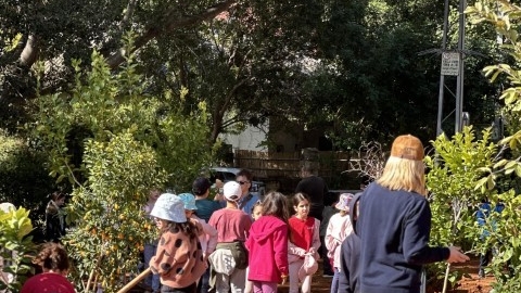 נטיעות ברחוב הגלעד (24).jpeg