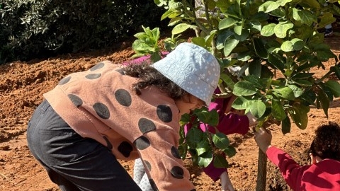 נטיעות ברחוב הגלעד (6).jpeg