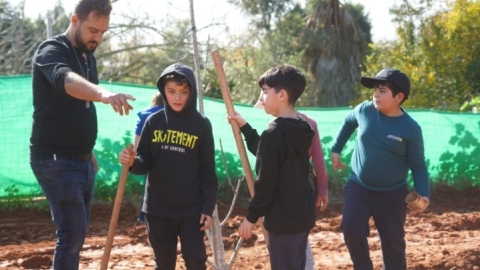 נטיעות ברחוב הגלעד (37).jpeg