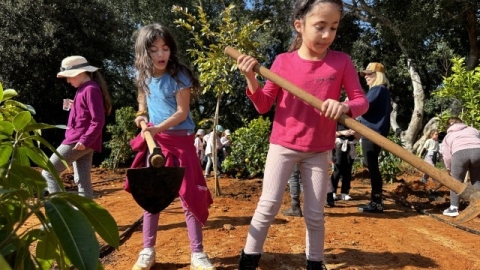 נטיעות ברחוב הגלעד (25).jpeg