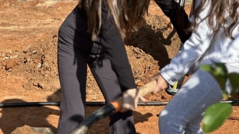 נטיעות ברחוב הגלעד (23).jpeg