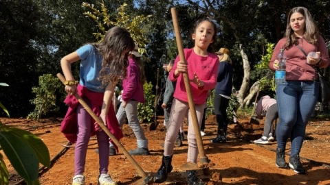נטיעות ברחוב הגלעד (9).jpeg