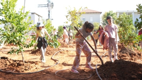 נטיעות ברחוב הגלעד (30).jpeg