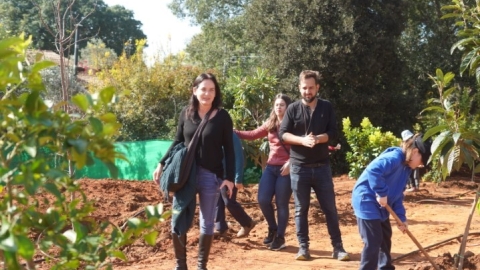 נטיעות ברחוב הגלעד (19).jpeg