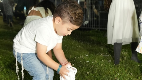 A6106750.JPG
